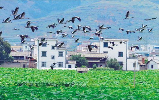 強(qiáng)化招商引資 推進(jìn)園區(qū)建設(shè)——訪市黨代表、工業(yè)園區(qū)主任李俊龍