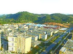 延安：市口岸辦調研寶塔區(qū)臨空經濟產業(yè)發(fā)展規(guī)劃