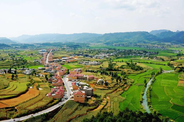 甘泉縣下寺灣鎮(zhèn)閆家溝村省級現代農業(yè)示范園被認定為“陜西省巾幗現代農業(yè)科