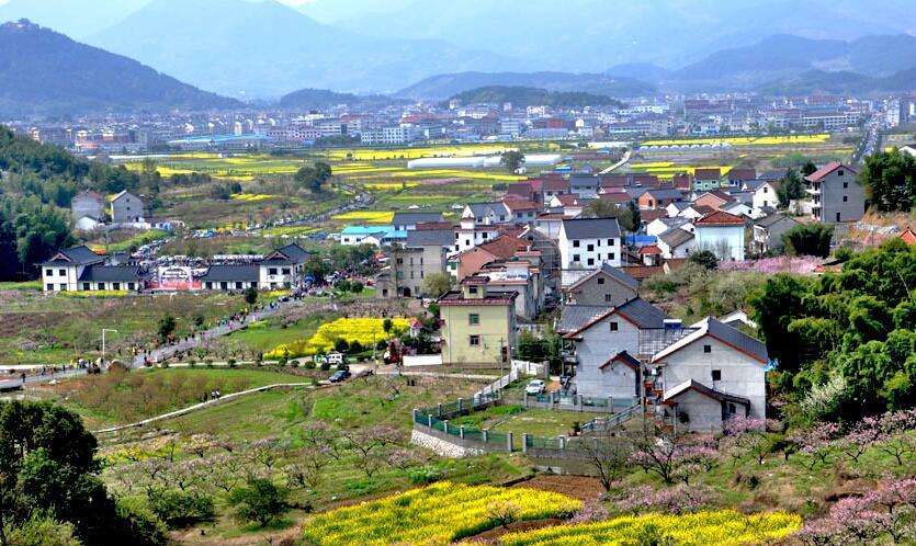 陳文勝：鄉(xiāng)村振興的資本、土地與制度邏輯